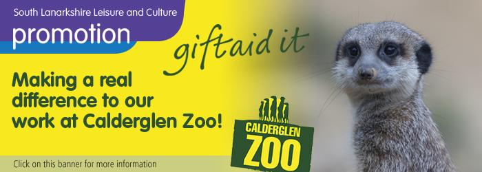 Giftaid it: help make a real difference at Calderglen Zoo Slider image